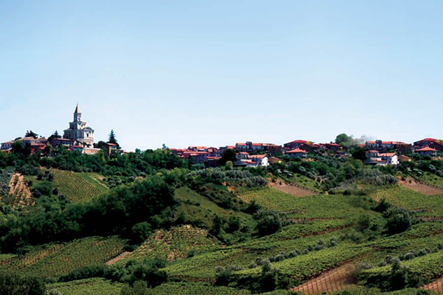 Cantina_Tollo